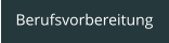 Berufsvorbereitung