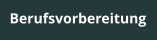 Berufsvorbereitung