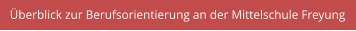 Überblick zur Berufsorientierung an der Mittelschule Freyung