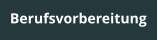 Berufsvorbereitung